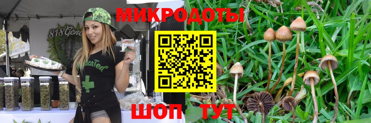 Галлюциногенные грибы мухоморы  закладки  Чехов  Вход с VPN  Галлюциногенные грибы мухоморы 